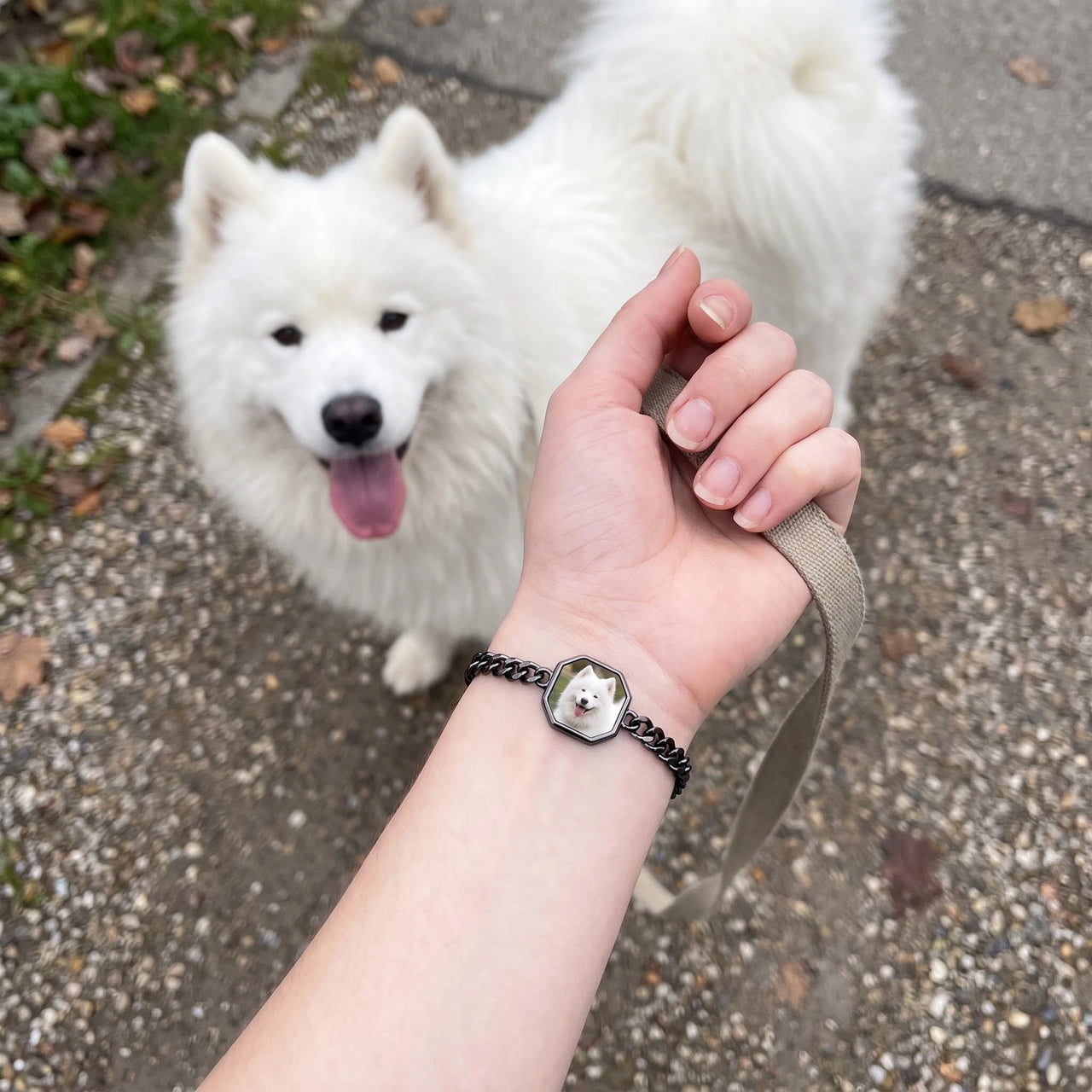 Customer photo: the black octagon bracelet with her samoyed's photo, her dog in the background | SKU: TPH-OCTB-BLACK-18
